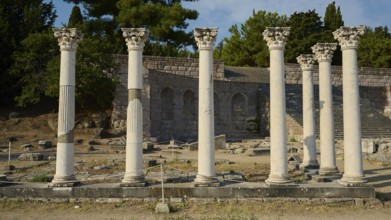 Ancient columns stand in front of a complex of ruins, surrounded by nature and sky, Temple of