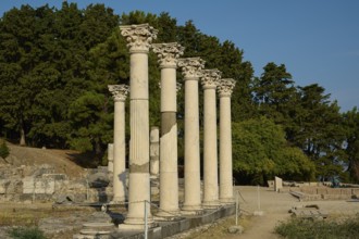 Ancient ruins with several columns in an archaeological site surrounded by trees, Temple of Apollo,