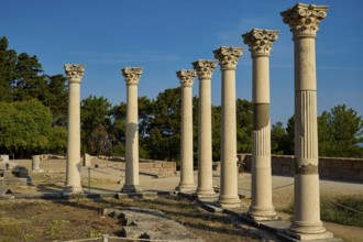 Row of ancient columns in a landscape of ruins with trees in the background, Temple of Apollo,