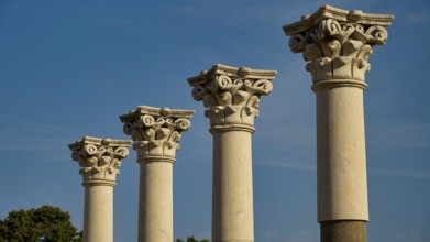 Four ancient columns with ornate capitals against a backdrop of a clear sky, Temple of Apollo,