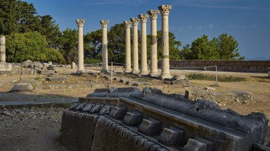 View of ancient ruins with columns in a historical setting under a clear sky, Temple of Apollo,