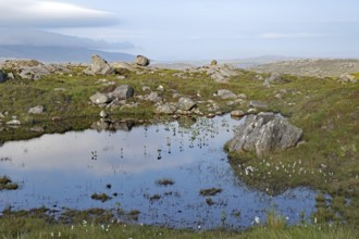 Small pond in a tranquil moorland landscape with rocks and clouds, Tarbert, Isle of Lewis,