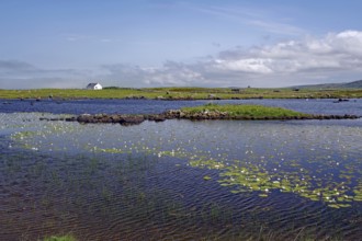 Landscape with water, water lilies and islands under blue sky with clouds, vastness, South Uist,