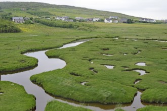 Green marshland with waterways and hills, behind a village under overcast skies, tidal landscape,
