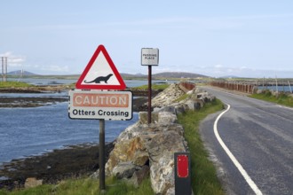 Road scene with otter crossing warning sign, coast and bridge in rural setting, causeway,