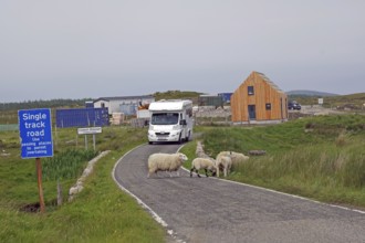 A mobile home on a narrow road, surrounded by sheep and a modern building, in a rural area, humour,