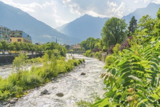 Panoramic view of a mountain river through a green landscape, in the background mountains under a