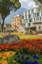 Colourful flower beds in front of a modern building, in sunny weather in a park, Merano, Italy