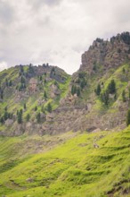 Green hills with rocks and pine trees under a cloudy sky, Alpe di Siusi, Dolomites, South Tyrol,