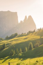 Lonely mountain peaks of the Schlehrn with green meadows and trees in the soft sunlight, Alpe di