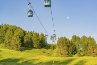 Cable car over green meadows and dense forests under a clear sky, Alpe di Siusi, Dolomites, South