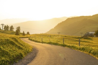 Curved road through a hilly landscape with cable cars at sunset, Alpe di Siusi, Dolomites, South
