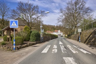 Pedestrian crossing, zebra crossing, traffic sign pedestrian crossing, lantern, bare wintry trees,