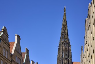 St. Lamberti, Lamberti Church, church tower, Gothic architecture, installation, ladder to heaven,