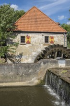Niedermühle, a watermill in Burgsteinfurt, Steinfurt, Münsterland, North Rhine-Westphalia, Germany