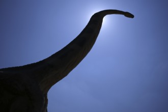 Replica, model of a Brachiosaurus, backlight, silhouette, in front of Urwelt-Museum Hauff, Museum,