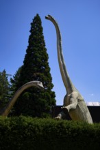 Replica, model of a Brachiosaurus, in front of Urwelt-Museum Hauff, Museum, Holzmaden,