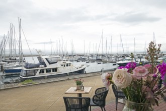 Boat harbour, Baltic Sea, Baltic resort, Kühlungsborn-Ost, Kühlungsborn, Rostock district,