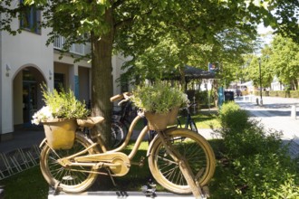 Decorative bicycle, plants, outdoor area, Baltic Sea, Baltic seaside resort, Kühlungsborn, Rostock