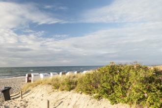 Dune sand, beach, beach chairs, Kühlunsborn Ost, Baltic Sea, Baltic Sea resort, Kühlungsborn,