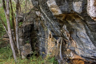 Vertical rocky formation between the trees of the tropical forest in Lapinha da Serra, Minas