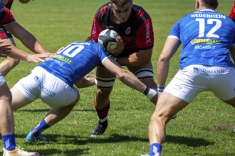 Rugby 1st Bundesliga South/West, 2024/25 season, final phase semi-final: SC Frankfurt 1880 vs SC