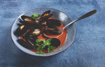 Fra Diavolo mussels, mussels in tomato sauce, Italian dish, on a blue background, homemade, no