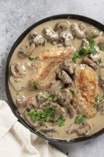 Chicken in cream sauce with mushrooms, on a black plate, no people