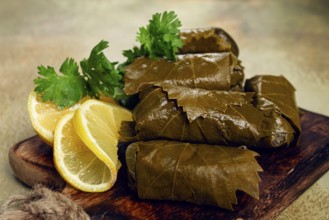 Dolma, minced meat with rice, in grape leaves, minced meat rolls, on a chopping board, top view, no