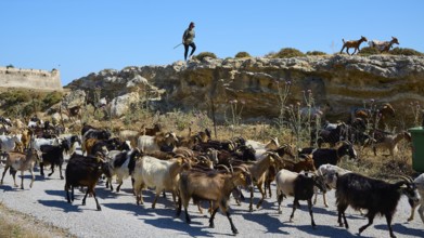 Shepherd leading goats along a small path through a rocky landscape, Antimacheia, Medieval
