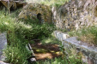 Spring, Poria spring, stone ruins overgrown with plants, impressive old wall structure,
