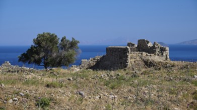 Stone ruins and a tree in front of a blue sea background, Antimacheia, Medieval fortress, St John's