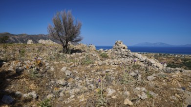 Stony landscape with ruins and unobstructed views of the sea and mountains, Kardamina, Antimacheia,