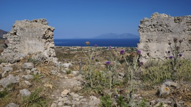Ruins interspersed with plants with sea views under a clear sky, Kardamina, Antimacheia, Medieval