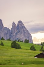 Single hut in front of dramatic mountains and dense greenery in the evening light, Alpe di Siusi,