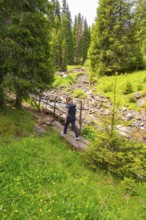 Hiker crossing a footbridge along a forest stream amidst green trees, Alpe di Siusi, South Tyrol,