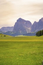 Green meadow with majestic mountain in the background under a cloudy sky, Alpe di Siusi, South