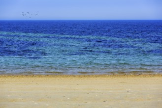Turquoise blue sea, calm water surface, beach, offshore island of Heligoland, Schleswig-Holstein,