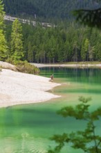 Single person on the lake shore, green water and surrounding forest, Pragser Wildsee, South Tyrol,