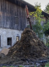 Highest dung heap in front of an old barn, surrounded by rural idyll, Bavaria, Germany
