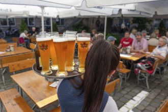 Waitress serving six glasses of wheat beer on a tray to the tables of a garden restaurant, Bavaria,