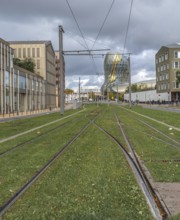 Grass-covered tram tracks crossing in bordeaux city center, with the cité du vin museum in the