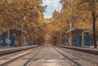 Empty tramway tracks in bordeaux city center during the fall season, with colorful trees lining the