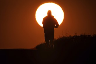 A jogger runs at sunrise on a country lane near Frankfurt am Main, Frankfurt am Main, Hesse,