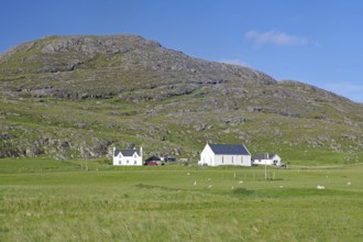 White houses stand in a green meadow with mountains in the background. Sheep grazing nearby, Barra,