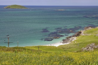 Coastal landscape with green hill and flowering meadow in front of a calm sea with small islands in