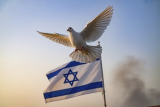 Peace dove soaring above Israeli flag. Symbol of hope in times of conflict. Generative ai, AI