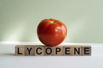 Red tomato with wooden blocks spelling Lycopene. Minimalist studio image emphasizing