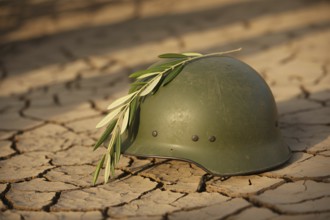 Weathered military helmet with olive branch on cracked earth. Symbolic image of peace emerging from