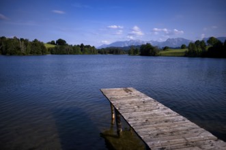 Bathing jetty, jetty, wooden jetty, jetty, leads into a lake, bathing lake, Schwaltenweiher near